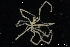  ( - ZMBN_137837)  @11 [ ] Creative Commons BY NC SA (2020) University of Bergen Natural History Collections