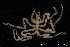  ( - ZMBN_137839)  @11 [ ] Creative Commons BY NC SA (2020) University of Bergen Natural History Collections
