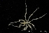  ( - ZMBN_137841)  @11 [ ] Creative Commons BY NC SA (2020) University of Bergen Natural History Collections