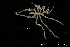  ( - ZMBN_137841)  @11 [ ] Creative Commons BY NC SA (2020) University of Bergen Natural History Collections
