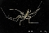  ( - ZMBN_137844)  @11 [ ] Creative Commons BY NC SA (2020) University of Bergen Natural History Collections