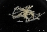  ( - ZMBN_137846)  @11 [ ] Creative Commons BY NC SA (2020) University of Bergen Natural History Collections