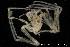  ( - ZMBN_137847)  @11 [ ] Creative Commons BY NC SA (2020) University of Bergen Natural History Collections