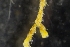  ( - ZMBN_138194)  @11 [ ] CreativeCommons BY NC SA (2021) University of Bergen Natural History Collections