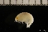  ( - ZMBN_145688)  @11 [ ] Creative Commons BY NC SA (2022) University of Bergen Natural History Collections