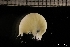  ( - ZMBN_145796)  @11 [ ] Creative Commons BY NC SA (2022) University of Bergen Natural History Collections