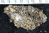  ( - ZMBN_147384)  @11 [ ] Creative Commons BY NC SA (2022) University of Bergen Natural History Collections