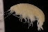  ( - ZMBN_147637)  @11 [ ] Creative Commons BY NC SA (2022) University of Bergen Natural History Collections
