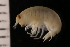  ( - ZMBN_147660)  @11 [ ] Creative Commons BY NC SA (2022) University of Bergen Natural History Collections