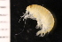  ( - ZMBN_147663)  @11 [ ] Creative Commons BY NC SA (2022) University of Bergen Natural History Collections