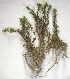  ( - HG 10-10)  @11 [ ] No Rights Reserved  Unspecified Unspecified