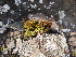  ( - HG 09-08)  @11 [ ] No Rights Reserved  Unspecified Unspecified