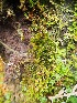  ( - HG 09-18)  @11 [ ] No Rights Reserved  Unspecified Unspecified