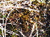  ( - HG 15-03)  @11 [ ] No Rights Reserved  Unspecified Unspecified