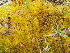  ( - HG 16-16)  @11 [ ] No Rights Reserved  Unspecified Unspecified