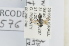  ( - RBINS-AP576)  @11 [ ] Unspecified (default): All Rights Reserved  Unspecified Unspecified