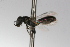  ( - MACN-En 9799)  @12 [ ] Copyright (2012) MACN Museo Argentino de Ciencias Naturales 