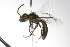  ( - MACN-En 9764)  @13 [ ] Copyright (2012) MACN Museo Argentino de Ciencias Naturales 