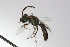  ( - MACN-En 9771)  @12 [ ] Copyright (2012) MACN Museo Argentino de Ciencias Naturales 