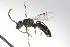  ( - MACN-En 9768)  @14 [ ] Copyright (2012) MACN Museo Argentino de Ciencias Naturales 