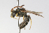  ( - MACN-En 9845)  @11 [ ] Copyright (2012) MACN Museo Argentino de Ciencias Naturales 