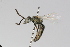  ( - MACN-En 8009)  @13 [ ] Copyright (2012) MACN Museo Argentino de Ciencias Naturales 