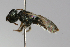  ( - MACN-En 9829)  @12 [ ] Copyright (2012) MACN Museo Argentino de Ciencias Naturales 