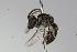  ( - MACN-En 9883)  @12 [ ] Copyright (2012) MACN Museo Argentino de Ciencias Naturales 