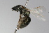  ( - MACN-En 9830)  @13 [ ] Copyright (2012) MACN Museo Argentino de Ciencias Naturales 