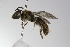  ( - MACN-En 9884)  @14 [ ] Copyright (2012) MACN Museo Argentino de Ciencias Naturales 