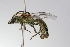  ( - MACN-En 9875)  @13 [ ] Copyright (2012) MACN Museo Argentino de Ciencias Naturales 
