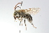  ( - MACN-En 8066)  @11 [ ] Copyright (2012) MACN Museo Argentino de Ciencias Naturales 