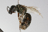  ( - MACN-En 8001)  @13 [ ] Copyright (2012) MACN Museo Argentino de Ciencias Naturales 