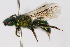  ( - MACN-En 8197)  @14 [ ] Copyright (2011) MACN Museo Argentino de Ciencias Naturales 
