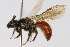  ( - MACN-En 8213)  @14 [ ] Copyright (2011) MACN Museo Argentino de Ciencias Naturales 