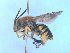  ( - MACN-En 21760)  @14 [ ] Copyright (2016) Luis Compagnucci Museo Argentino de Ciencias Naturales "Bernardino Rivadavia"