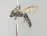  ( - MACN-En 21787)  @11 [ ] Copyright (2016) Luis Compagnucci Museo Argentino de Ciencias Naturales "Bernardino Rivadavia"