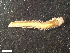  ( - HA04_ANE_D_0004.7 (ex_ANE_G)_UBGD.295517)  @11 [ ] CreativeCommons - Attribution Share-Alike (2024) Unspecified Universite de Bourgogne, Biogeosciences