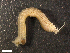  ( - HA04_ANE_E_0004.8 (ex_ANE_I)_UBGD.295518)  @11 [ ] CreativeCommons - Attribution Share-Alike (2024) Unspecified Universite de Bourgogne, Biogeosciences
