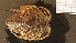  ( - HA04_ISO_B_0006.1.1_UBGD.295040)  @11 [ ] CreativeCommons - Attribution Share-Alike (2024) Unspecified Universite de Bourgogne, Biogeosciences