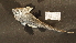  ( - HA04_VER_B_0207_UBGD.295171)  @11 [ ] CreativeCommons - Attribution Share-Alike (2024) Unspecified Universite de Bourgogne, Biogeosciences