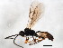  ( - BIOUG01016-G04)  @13 [ ] CreativeCommons - Attribution (2011) CBG Photography Group Centre for Biodiversity Genomics