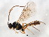  ( - BIOUG01016-H08)  @14 [ ] CreativeCommons - Attribution (2011) CBG Photography Group Centre for Biodiversity Genomics