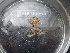  (Dendropsophus sanborni - HARG-06)  @11 [ ] Unspecified (default): All Rights Reserved  Unspecified Unspecified