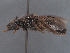  ( - HASARD-022)  @11 [ ] nrr (2024) Unspecified Simone Flaminio
