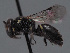  ( - HASARD-166)  @11 [ ] nrr (2024) Unspecified Romain Le Divelec