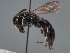  ( - HASARD-177)  @11 [ ] nrr (2024) Unspecified Romain Le Divelec
