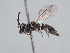  ( - HASARD-207)  @11 [ ] nrr (2024) Unspecified Romain Le Divelec