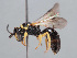  ( - HASARD-255)  @11 [ ] nrr (2024) Unspecified Romain Le Divelec
