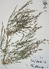  ( - XAL-13)  @11 [ ] Copyright  T. Mejia 2012 Unspecified